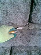 sandymount tower-18190.jpg